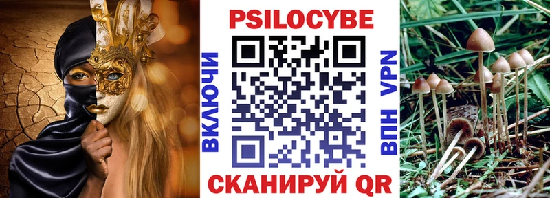 даркнет телеграм  закладка  MEGA ССЫЛКА  Новый Оскол  Галлюциногенные грибы мицелий 